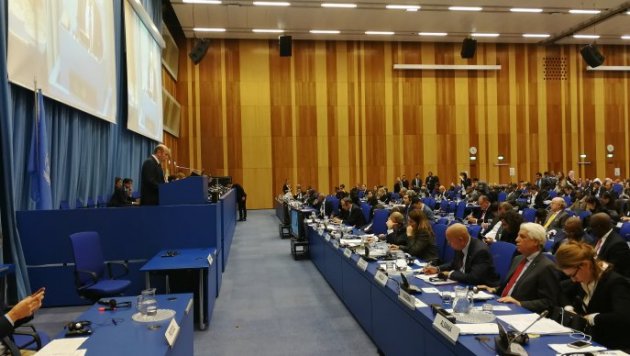 Imagen foto_00000015