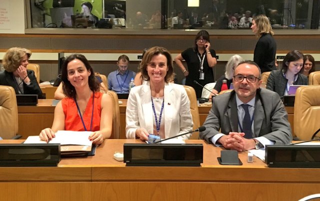 Imagen foto_00000011