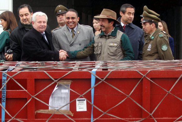 Cancillería coordina llegada a Chile de rinocerontes africanos