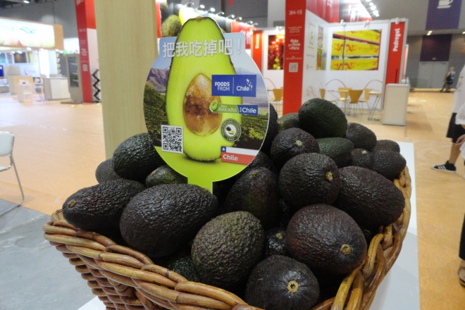 palta-china