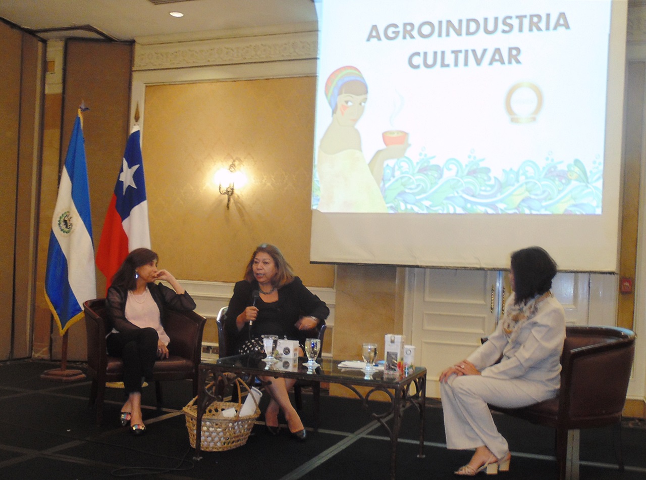 Durante el seminario se dieron a conocer dos experiencias exitosas de empresarias: Loreto Mateo de Chile (izquierda) y Cecilia Palma de El Salvador.