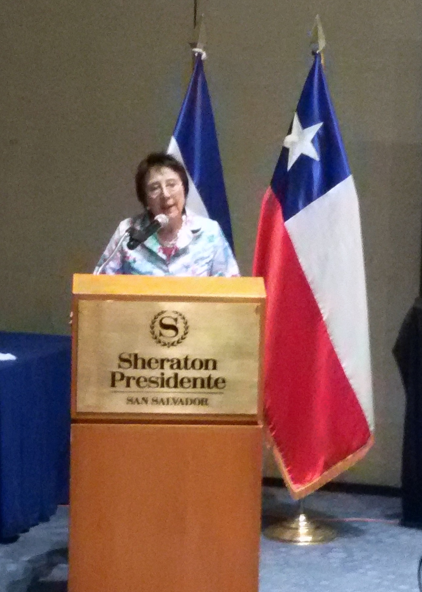 Embajadora de Chile en El Salvador, María Inés Ruz, durante sus palabras de cierre del Seminario “Agenda 2030 sobre Desarrollo Sostenible: herramientas para su implementación”. 