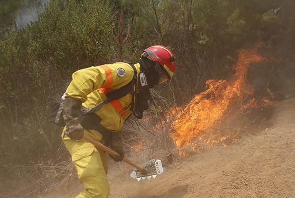 Imagen foto_00000002