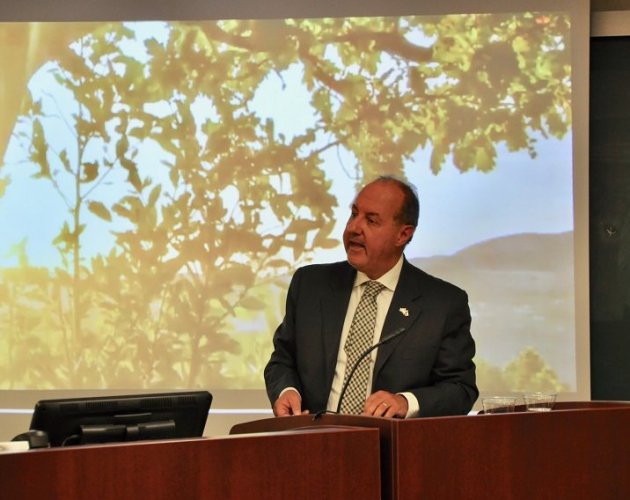 Imagen foto_00000015