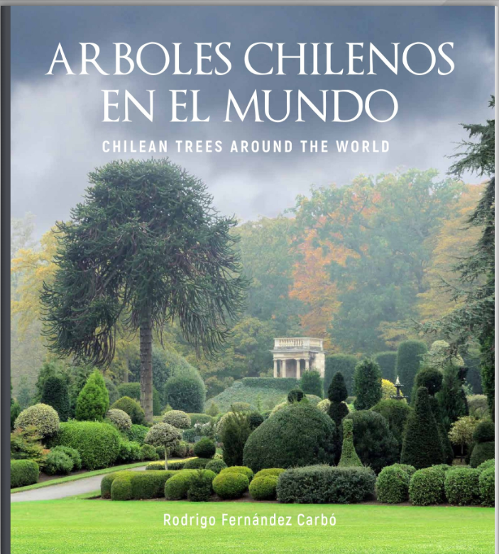 Imagen foto_00000002