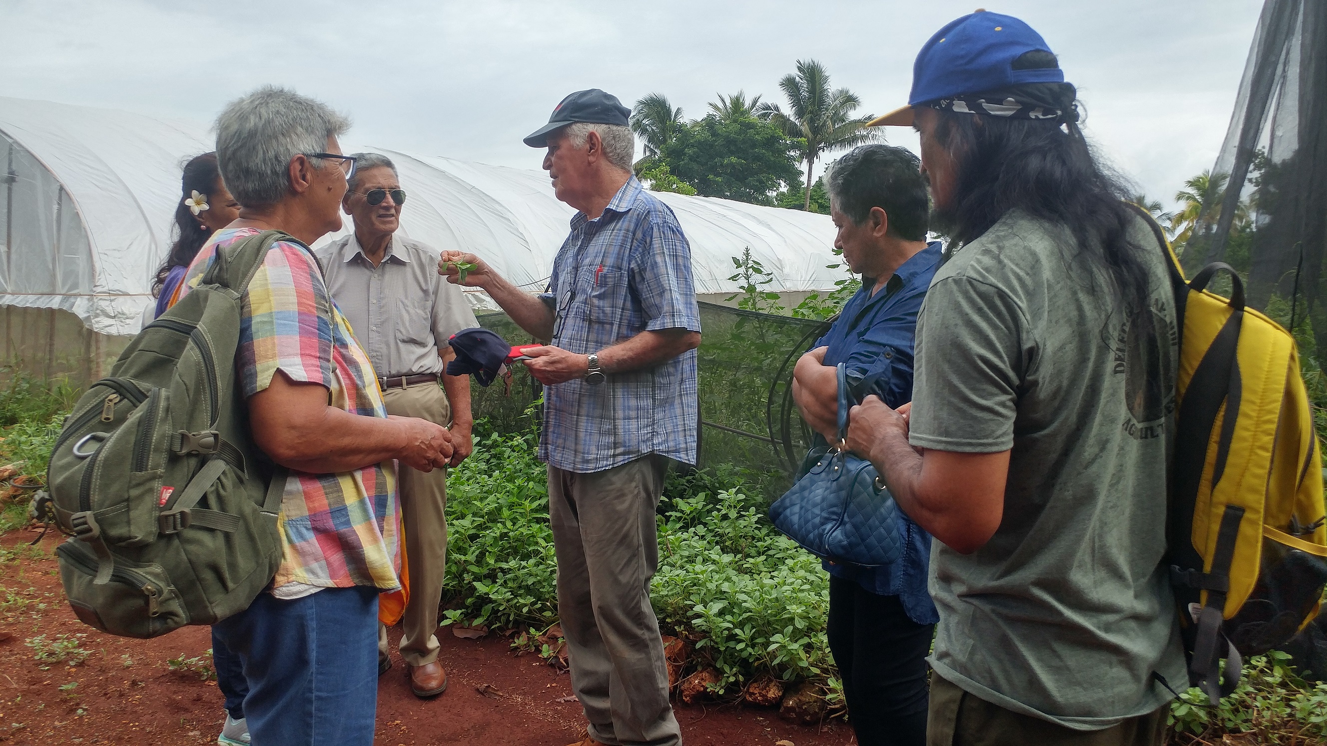 Imagen foto_00000002