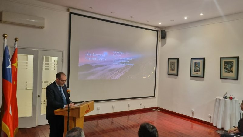 Imagen 3 - Galería