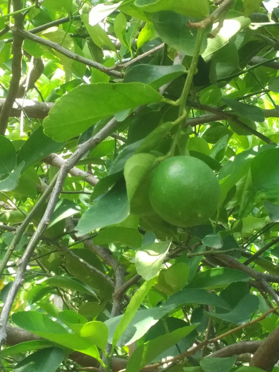 Imagen foto_00000001