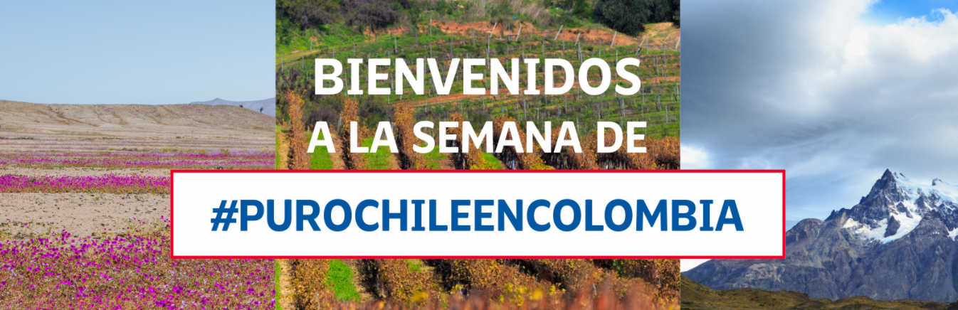 Imagen foto_00000002