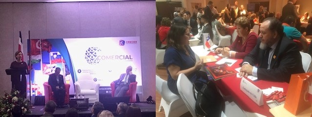 Imagen foto_00000003