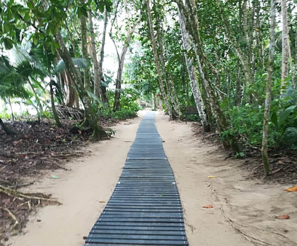 Imagen foto_00000003