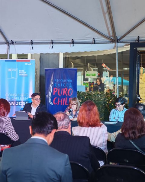  Imagen 10 - Galería