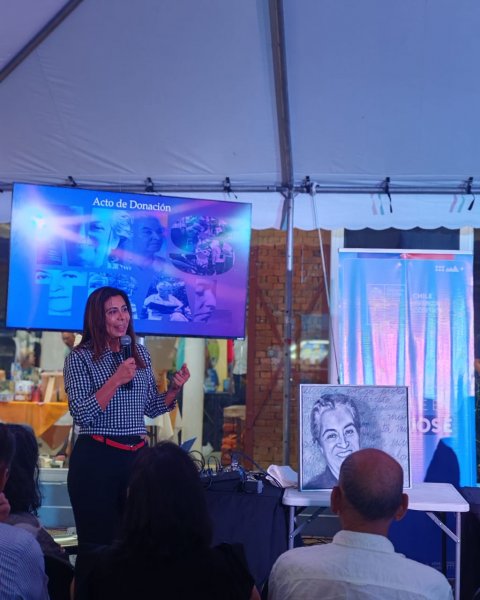  Imagen 11 - Galería