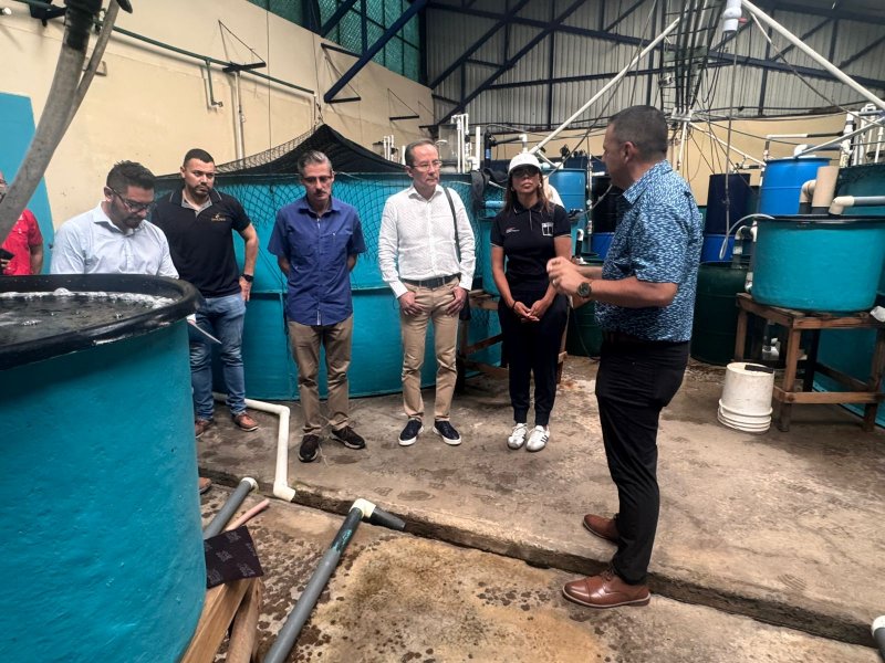  Imagen 12 - Galería