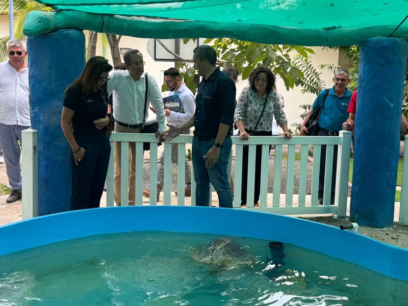  Imagen 13 - Galería