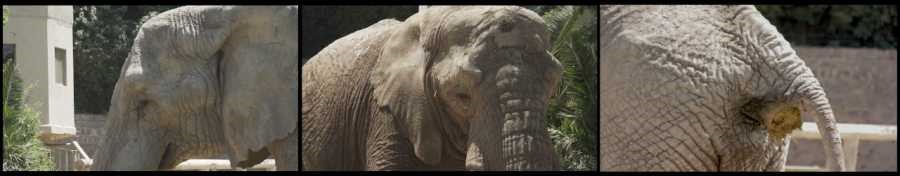 Imagen foto_00000003