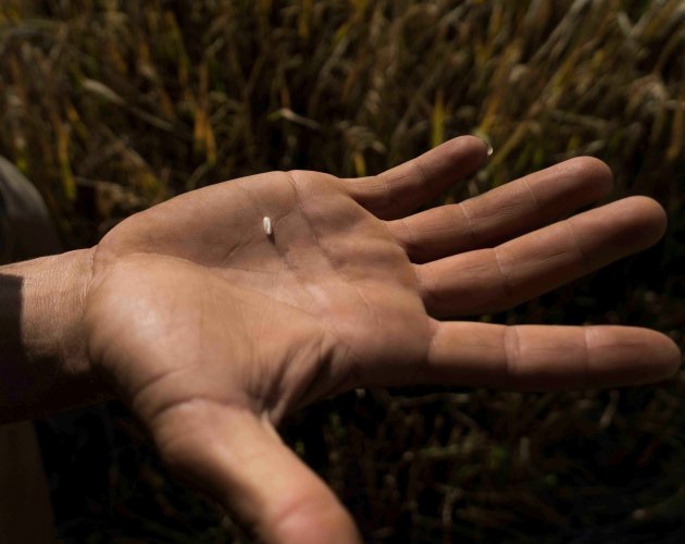 Imagen foto_00000007