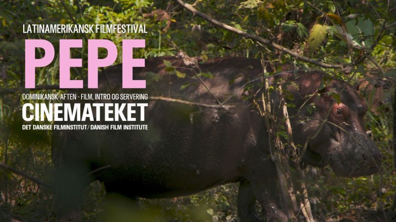  Imagen 18 - Galería