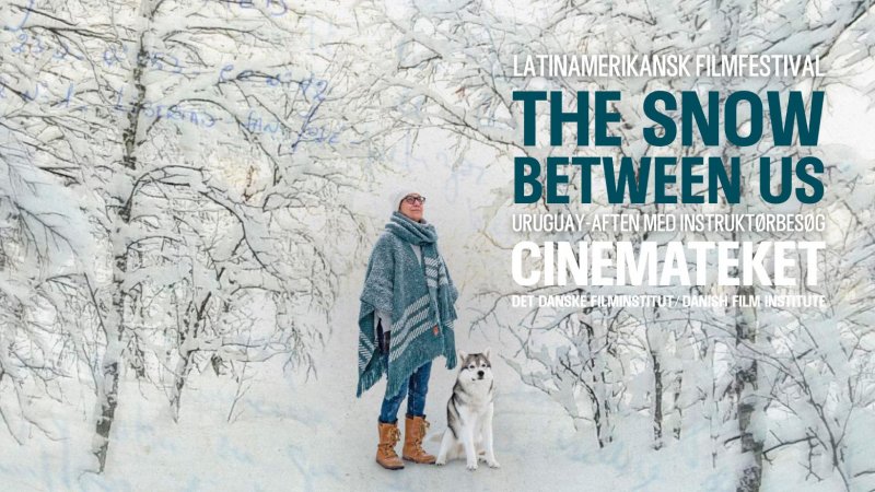  Imagen 13 - Galería