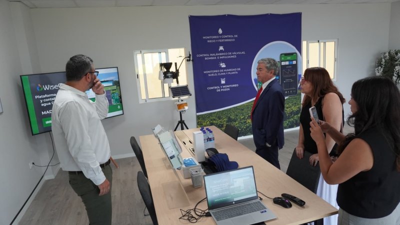  Imagen 3 - Galería