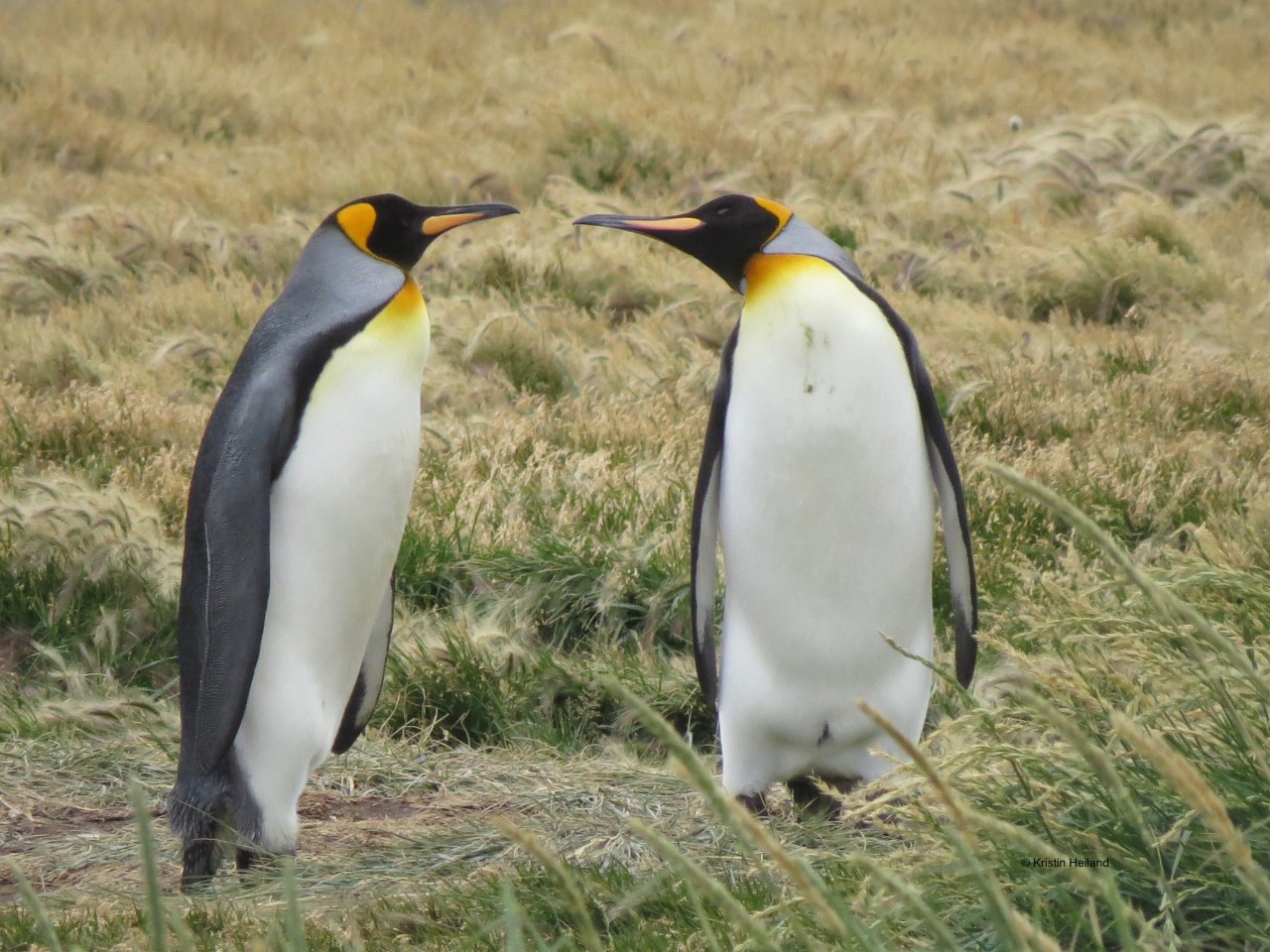 Imagen foto_00000002