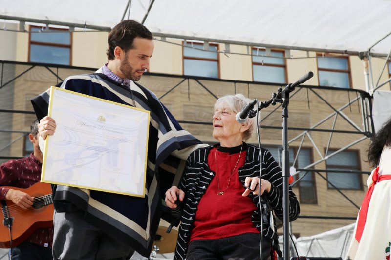  Imagen 15 - Galería