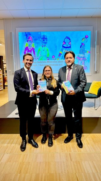  Imagen 12 - Galería