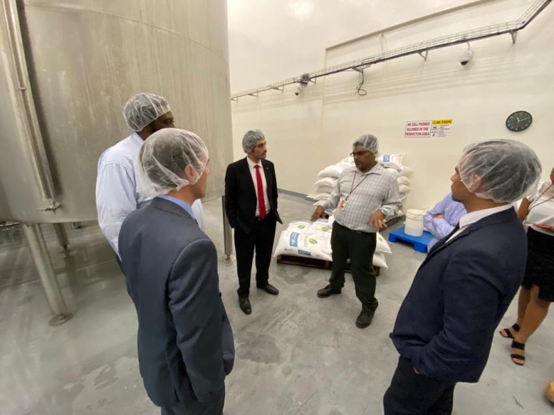  Imagen 11 - Galería