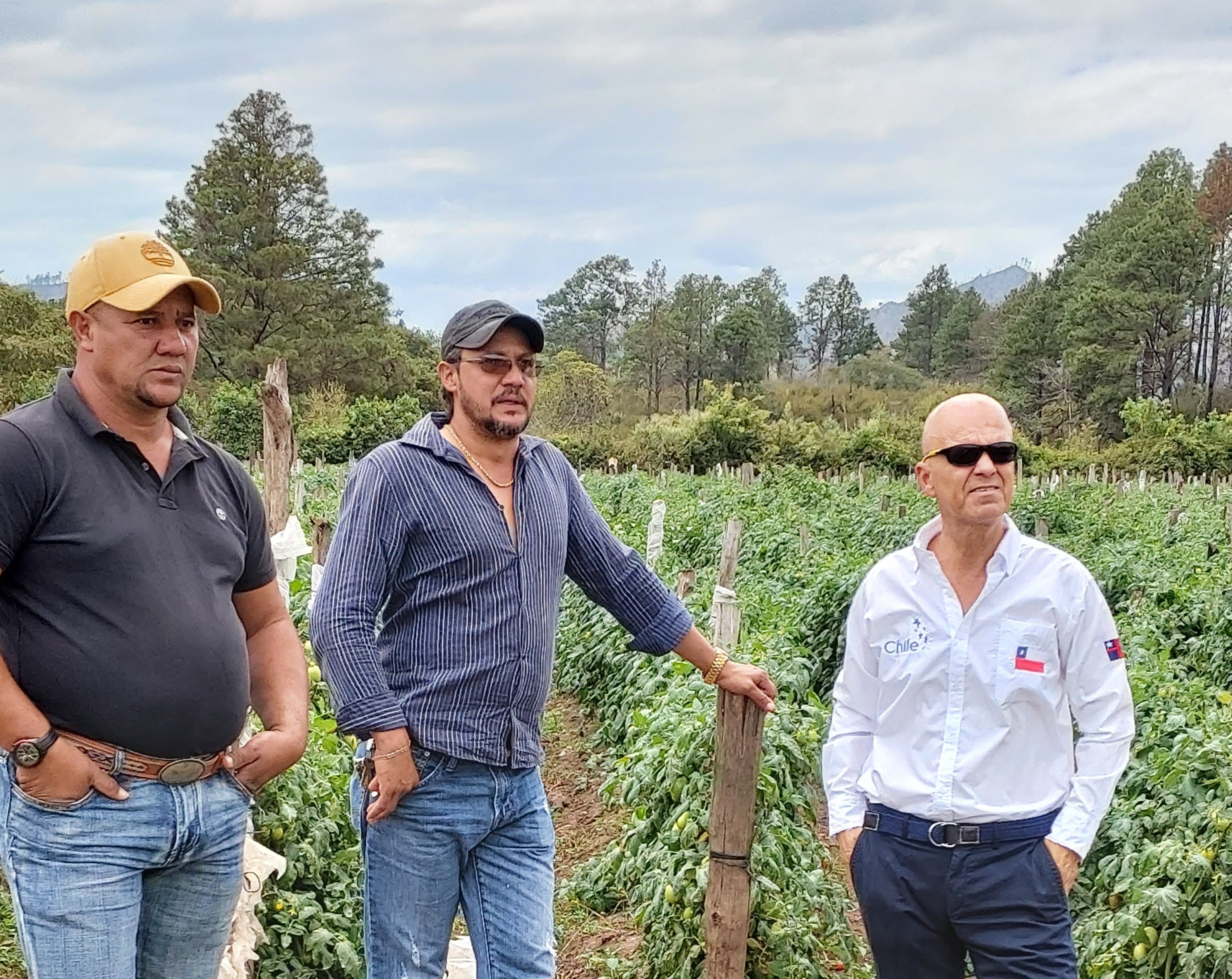 Imagen foto_00000005