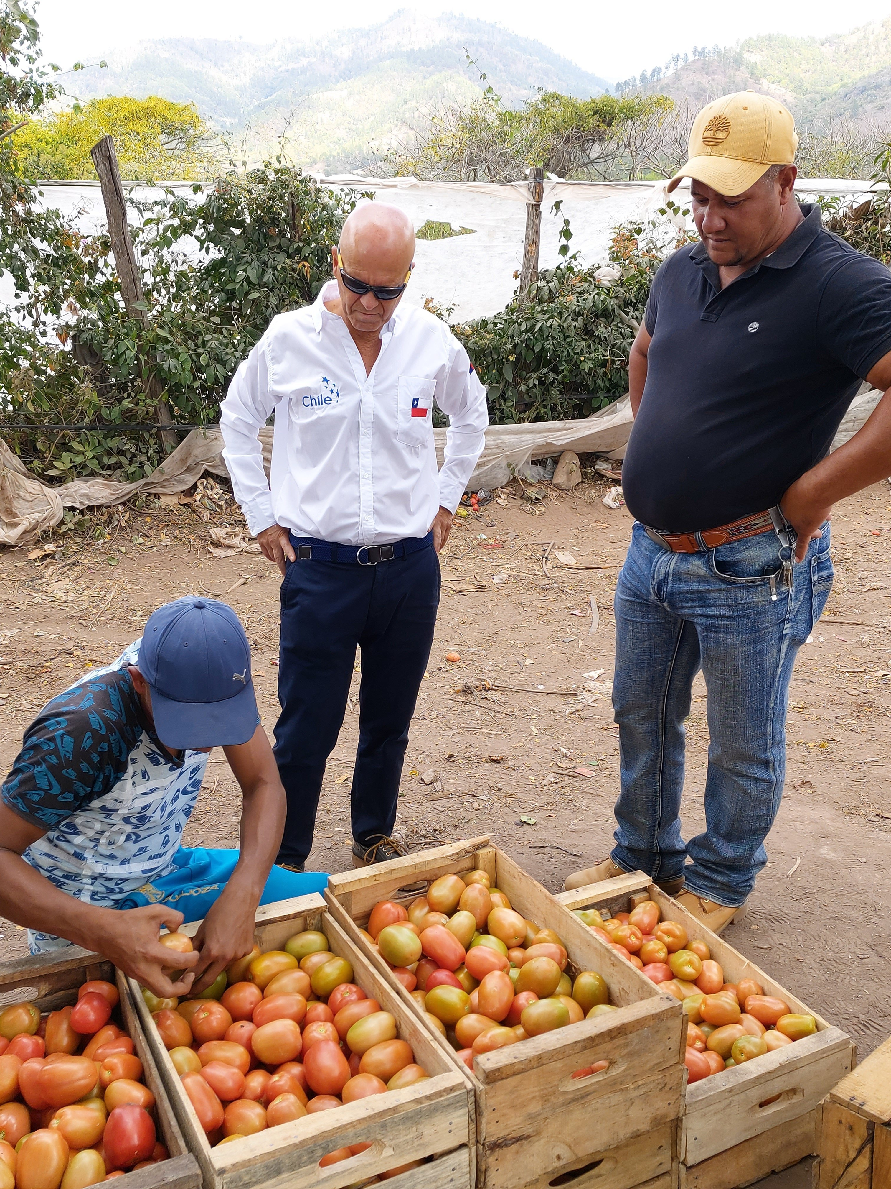 Imagen foto_00000006