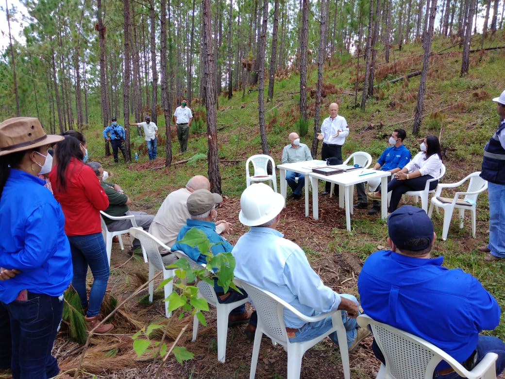 Imagen foto_00000003