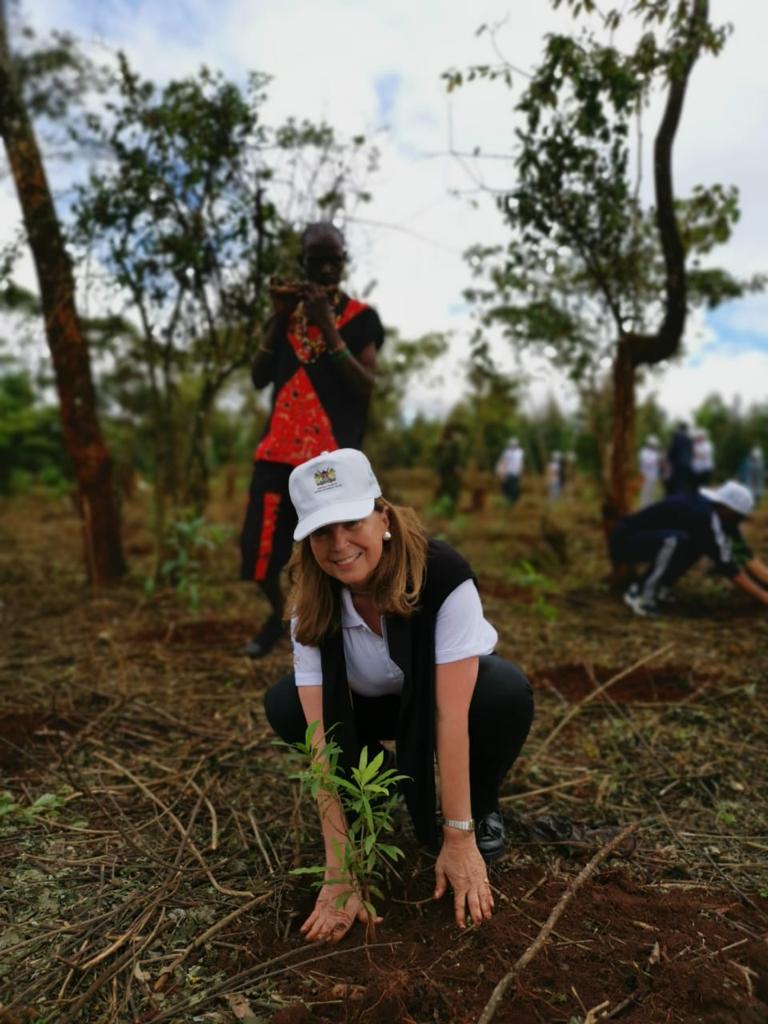 Imagen foto_00000001