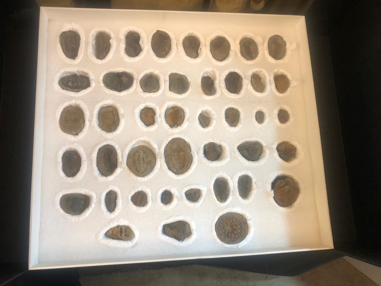 Imagen foto_00000001