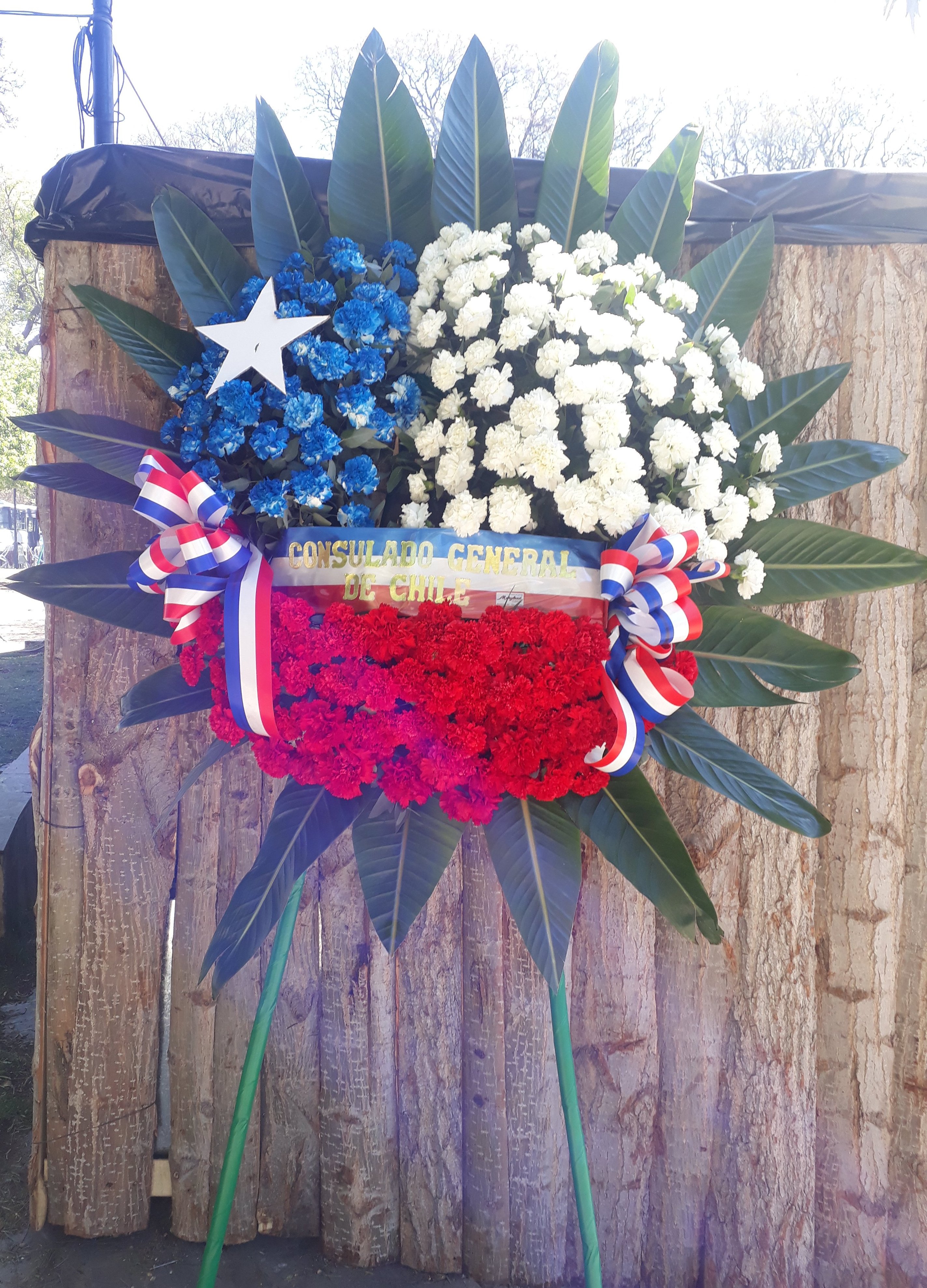 Imagen foto_00000006