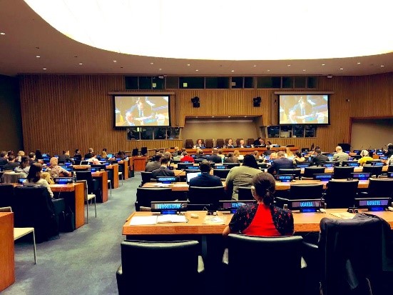 Imagen foto_00000004