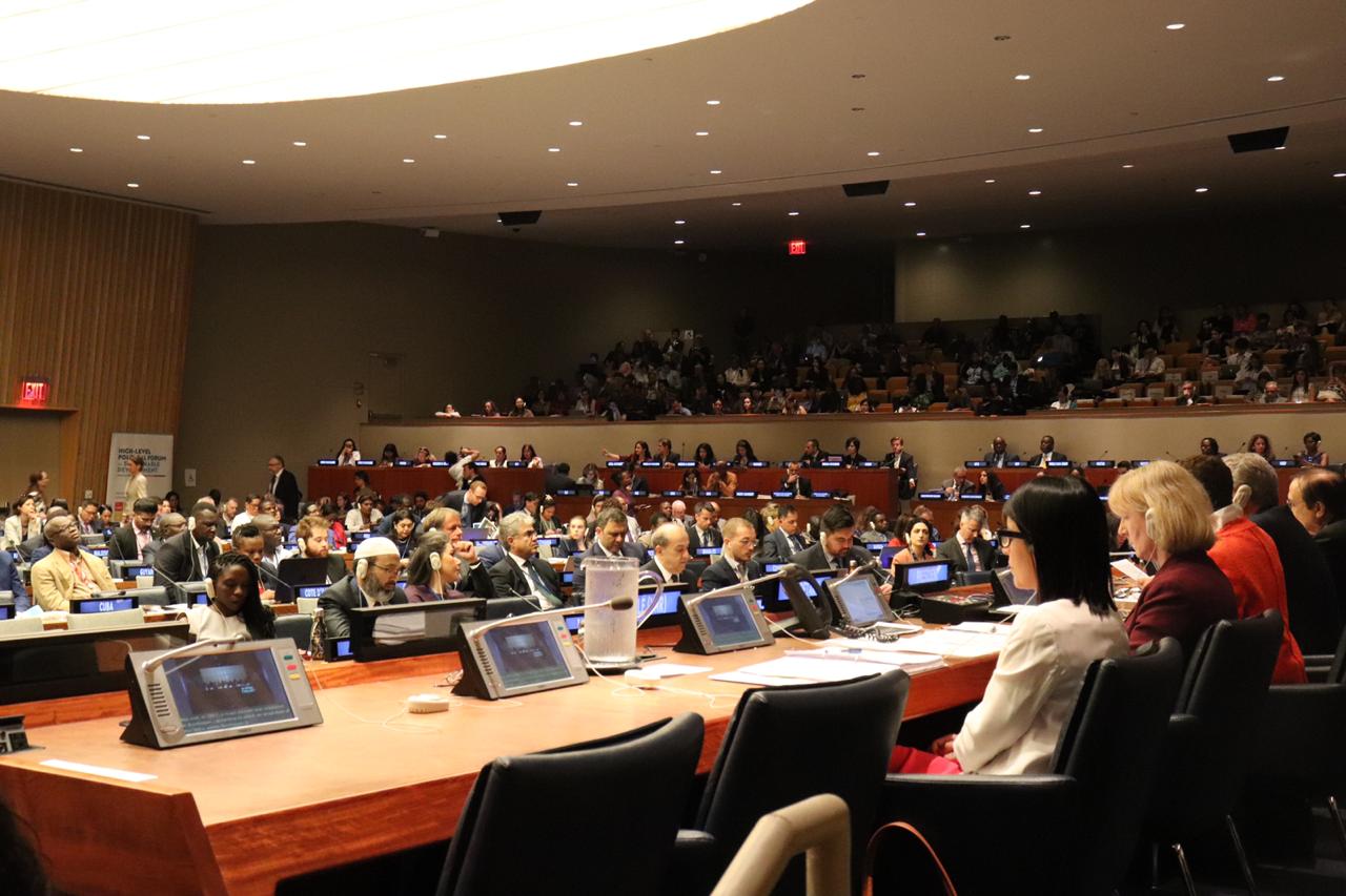 Imagen foto_00000003