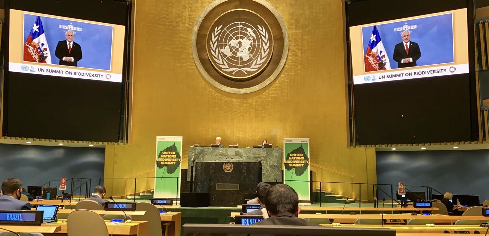 Imagen foto_00000001