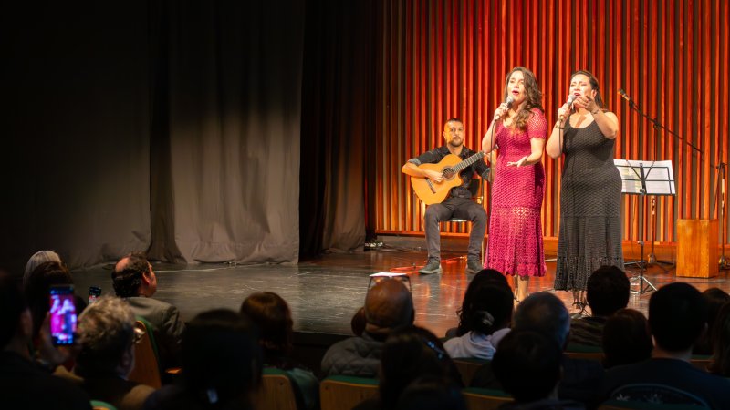  Imagen 13 - Galería