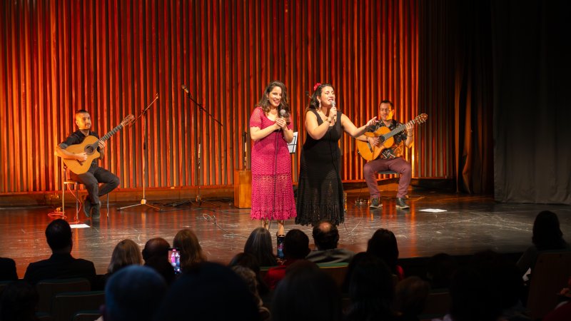  Imagen 16 - Galería