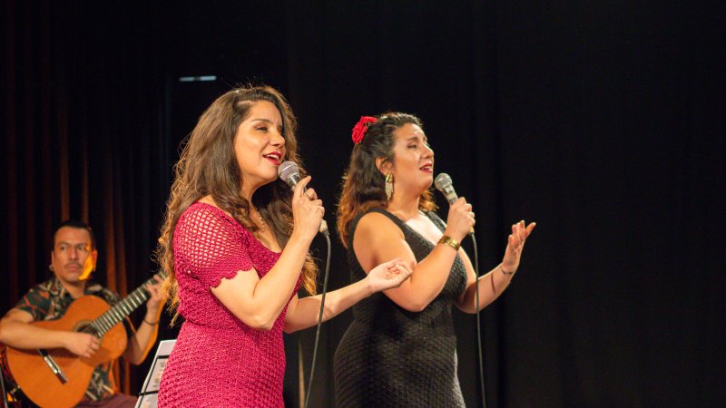  Imagen 15 - Galería