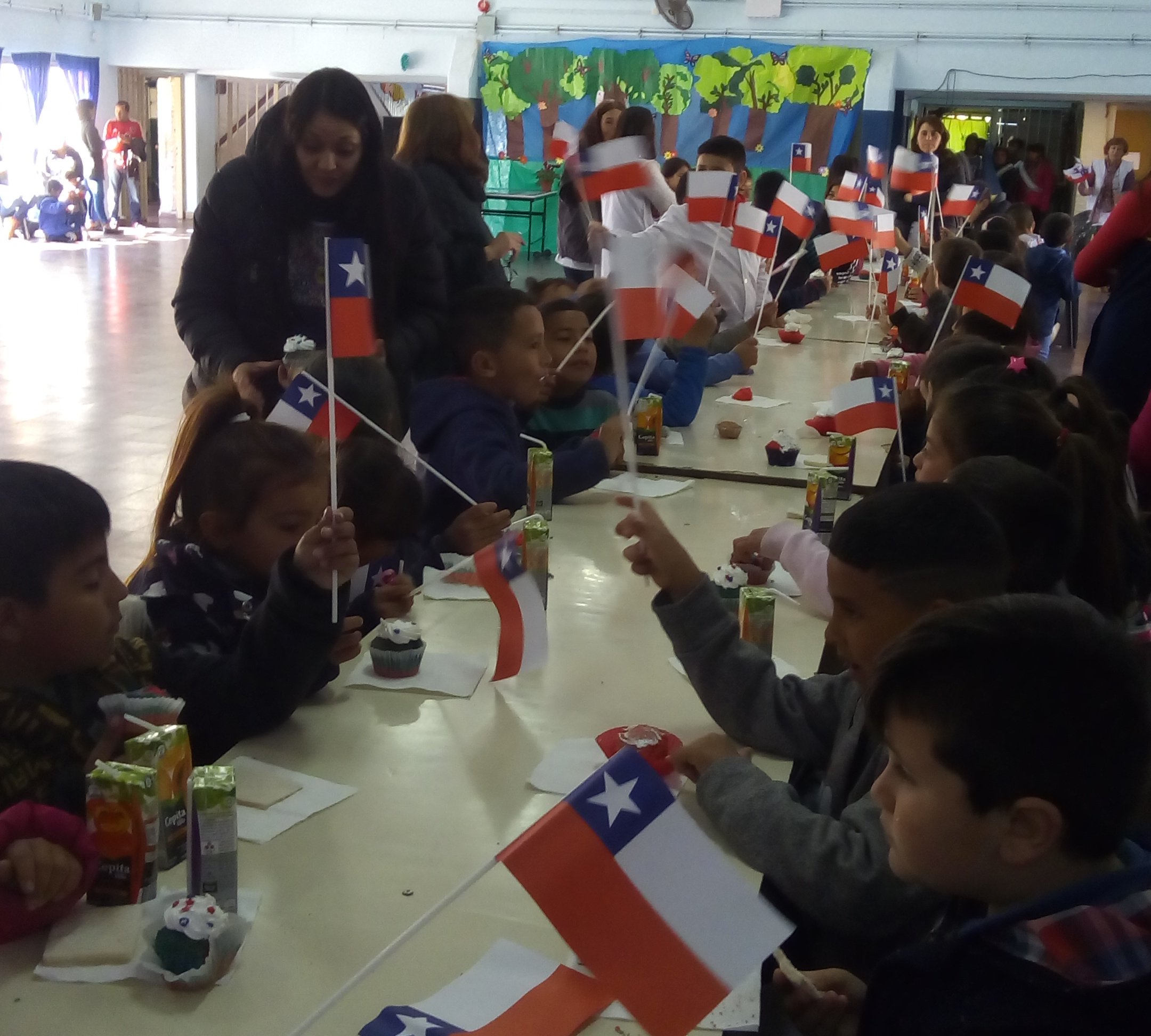 Imagen foto_00000006