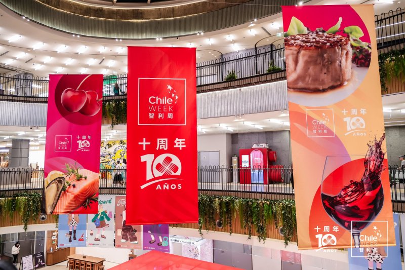  Imagen 10 - Galería