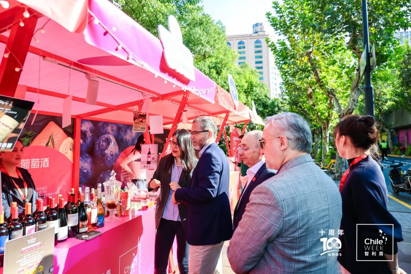  Imagen 14 - Galería