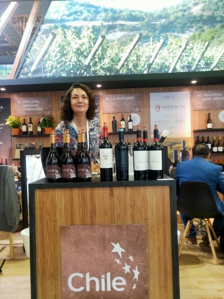  Imagen 11 - Galería