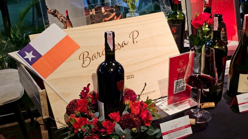  Imagen 12 - Galería