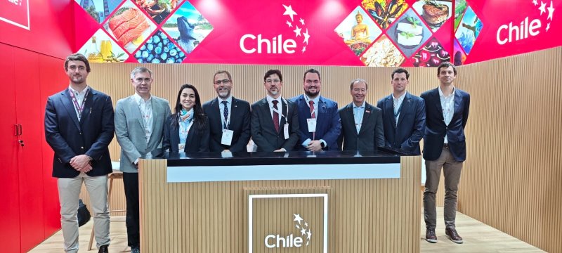  Imagen 1 - Galería