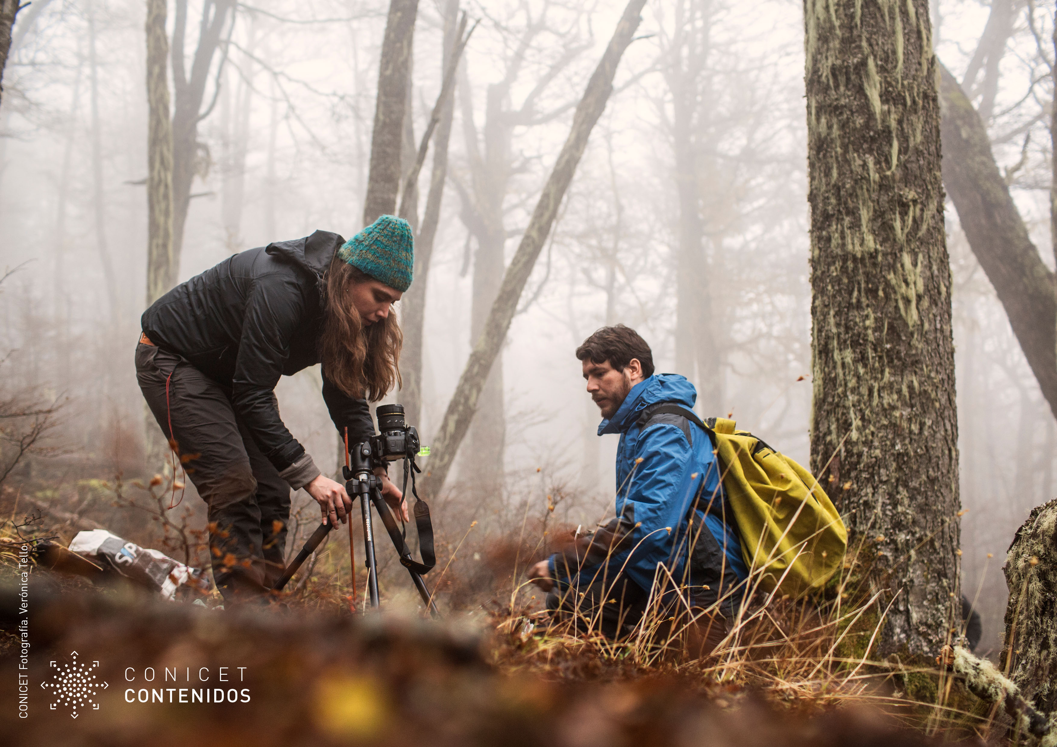 Imagen foto_00000001