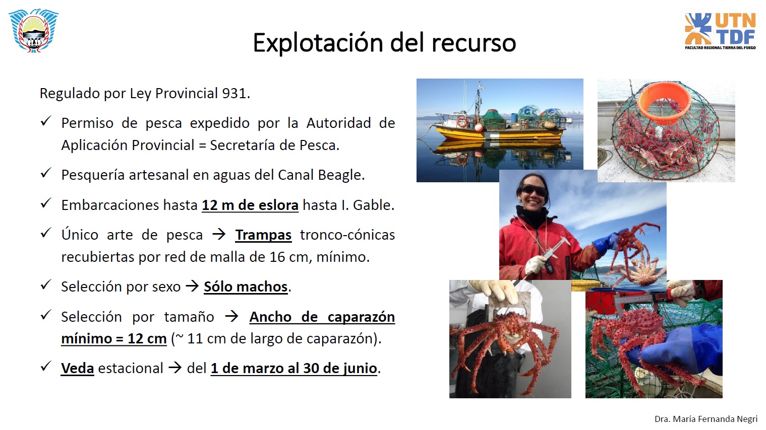 Imagen foto_00000013